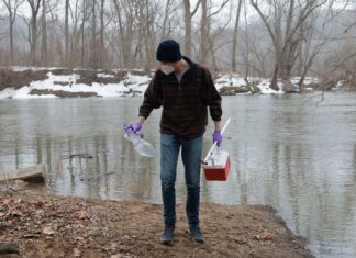 Потомак Возвращается к Нормальной Жизни После Снижения Загрязнения Сточными Водами