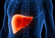 Дослідження показує, що сполуки канабісу можуть скасувати жирову хворобу печінки