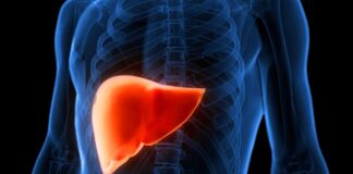 Дослідження показує, що сполуки канабісу можуть скасувати жирову хворобу печінки