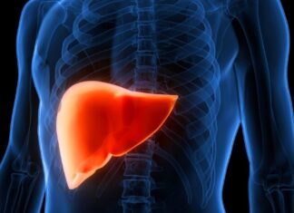 Kannabinoidy są obiecujące w odwracaniu stłuszczeniowej choroby wątroby