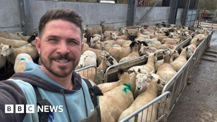 b0c957ed-cb70-40cb-b699-afa7df8c1157