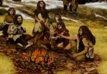Neandertalczycy używali smoły brzozowej jako naturalnego antybiotyku: dowody z badań archeologicznych i eksperymentalnych