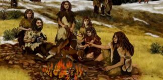 Неандертальці використовували березовий дьоготь як природний антибіотик: докази з археологічних та експериментальних досліджень