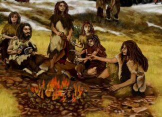 Les Néandertaliens utilisaient le goudron de bouleau comme antibiotique naturel : preuves issues de la recherche archéologique et expérimentale