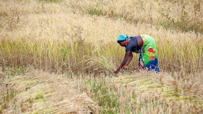 ddd6044c-b1a5-4ee6-83df-eab4425b7f30