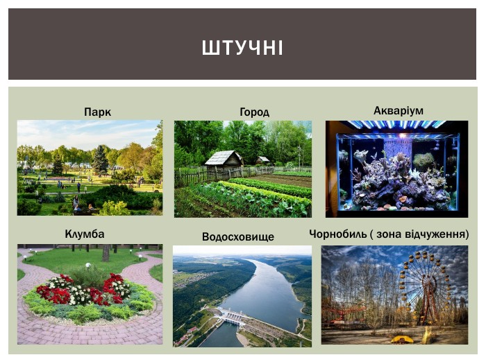 домашній затишок сад город акваріум