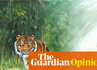 Van tragedie tot natuurbehoud: de 200-jarige evolutie van de Zoological Society of London