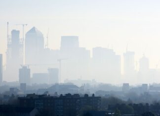 Como a ousadia regulatória da Califórnia revolucionou a qualidade do ar