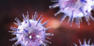 Як вірус Епштейна – Барр захоплює імунну систему і провокує розсіяний склероз