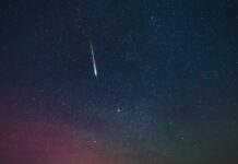 Catching the Lyrids: A Guide to Observing the Upcoming Meteor Shower