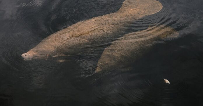 6e72cb9f-a173-4c19-9d7f-3b552ee114c7