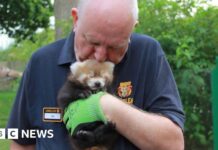 Шість десятиліть пригод: Сафарі-парк Лонгліт святкує 60-річчя