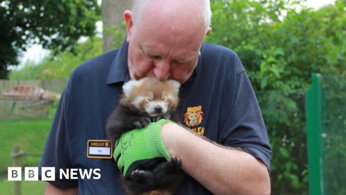 741aa7f8-37e6-4978-83d2-812054d2848a