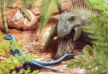 Стародавня Блювота Розкриває Несподівані Деталі про Ранні Плазуни