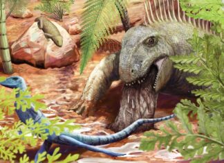 Uraltes Erbrochenes enthüllt unerwartete Details über frühe Reptilien