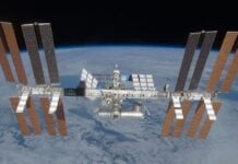 Крихітні черв’яки, велика місія: вивчення впливу космічних польотів на МКС