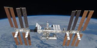 Крихітні черв’яки, велика місія: вивчення впливу космічних польотів на МКС