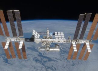 Tiny Worms, Big Mission: onderzoek naar de effecten van ruimtevluchten op het ISS