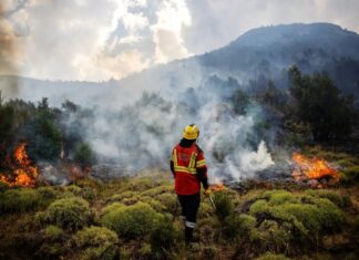 2026 Predicted to Shatter Global Temperature Records as El Niño Intensifies