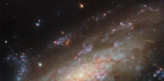 Хаббл розкрив космічну двійницю: галактика NGC 3137 зі спалахами зіркоутворення
