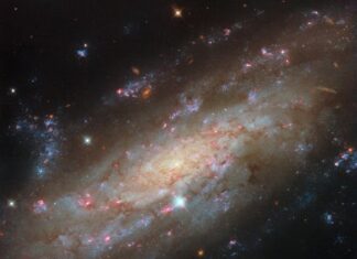 Hubble odkrył kosmiczną bliźniaczkę: galaktykę NGC 3137 z wybuchami powstawania gwiazd