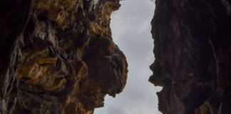 Як ритуали народу Гунаїкурнай зберегли трави в печері Клогс