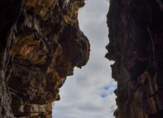 Comment les rituels GunaiKurnai ont préservé les herbes dans la grotte de Cloggs