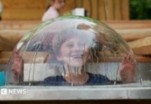 Ігрова зона в крейдяних струмках: чому дітям потрібно грати на рідкісних вологих місцях Англії