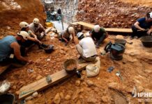 Por que humanos de 850.000 anos na Espanha comiam adultos e não apenas crianças