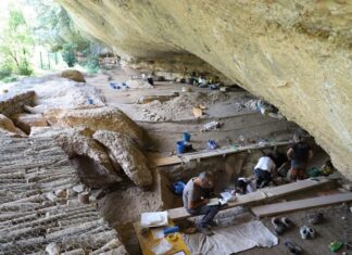 Bagaimana Coves del Fem Rock Shelter Menangkap Pergeseran dari Berburu ke Bertani