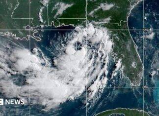 Cómo prepararse para la amenaza de la tormenta tropical Bertha en la costa del Golfo de EE. UU.