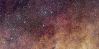Euklids scharfe Augen auf das Herz der Galaxis