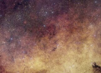 Euclid’s Sharp Eyes on the Galaxy’s Heart
