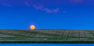 Strawberry Moon: Niedrig, klein und tatsächlich irgendwie interessant
