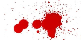 Як висота падіння впливає на розмір плями від фальшивої крові: експеримент із судової фізики